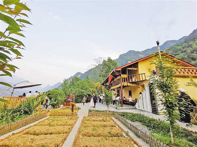 巫溪县红池坝镇龙台村金竹坪民宿,自然生态的田园风光吸引了不少