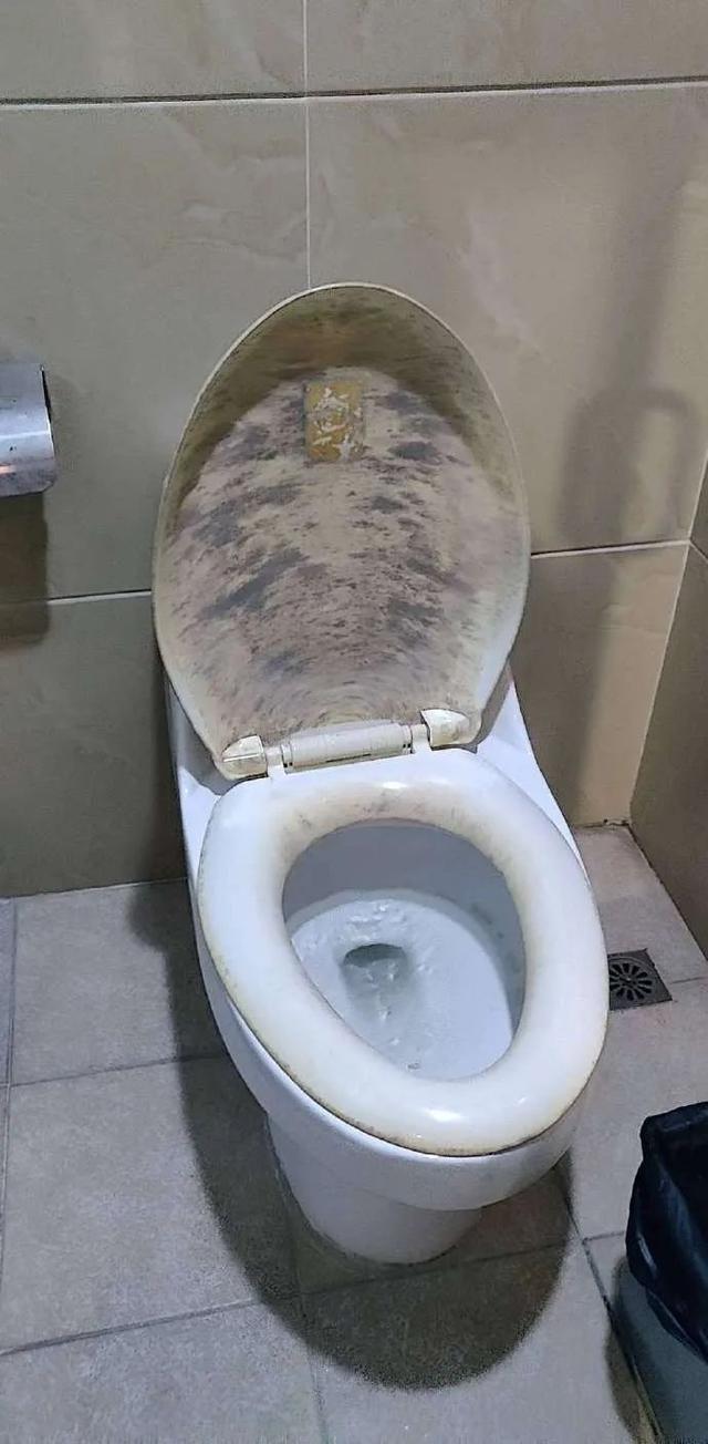 不仅如此,卫生间马桶年久失修,部分严重损坏,水箱漏水,马桶圈还又脏又