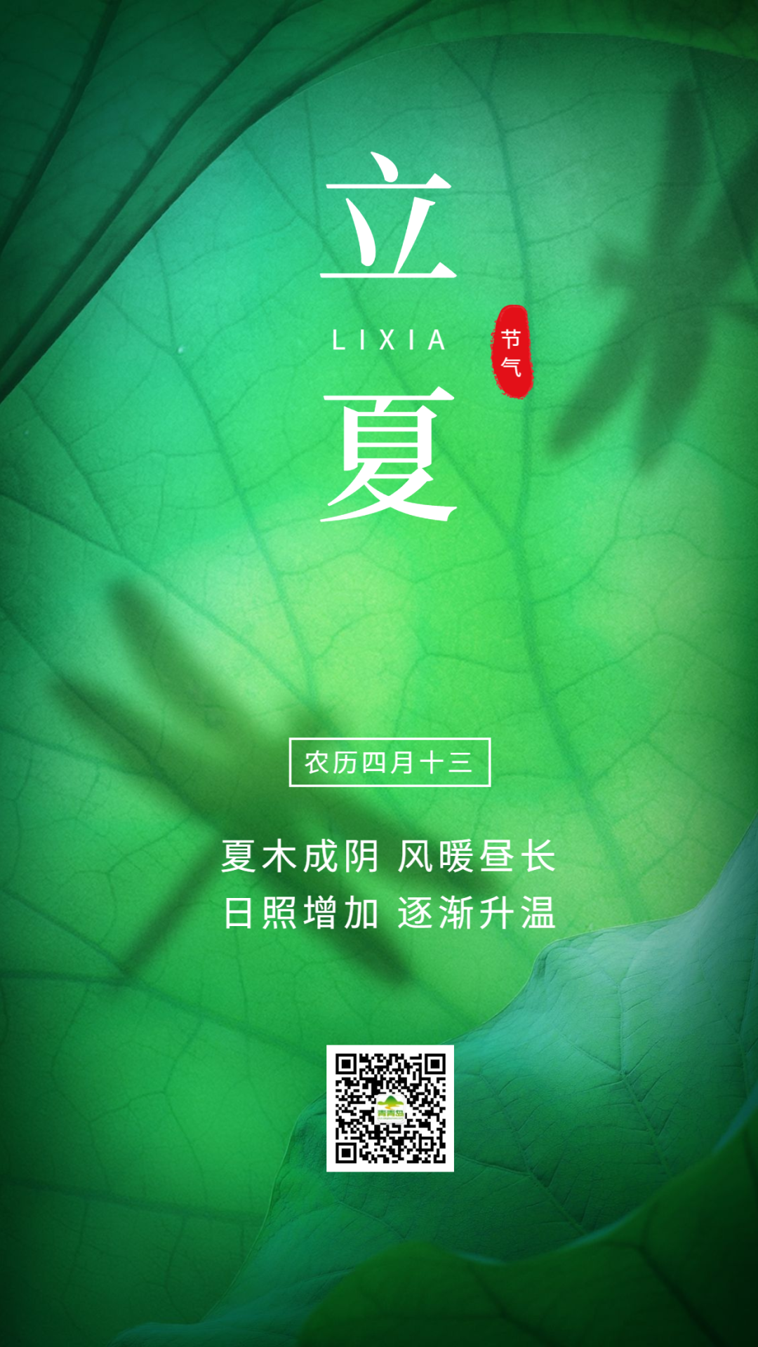 今日立夏,让人羡慕的"青岛20℃"又要来了…|天津中医药大学|二十四