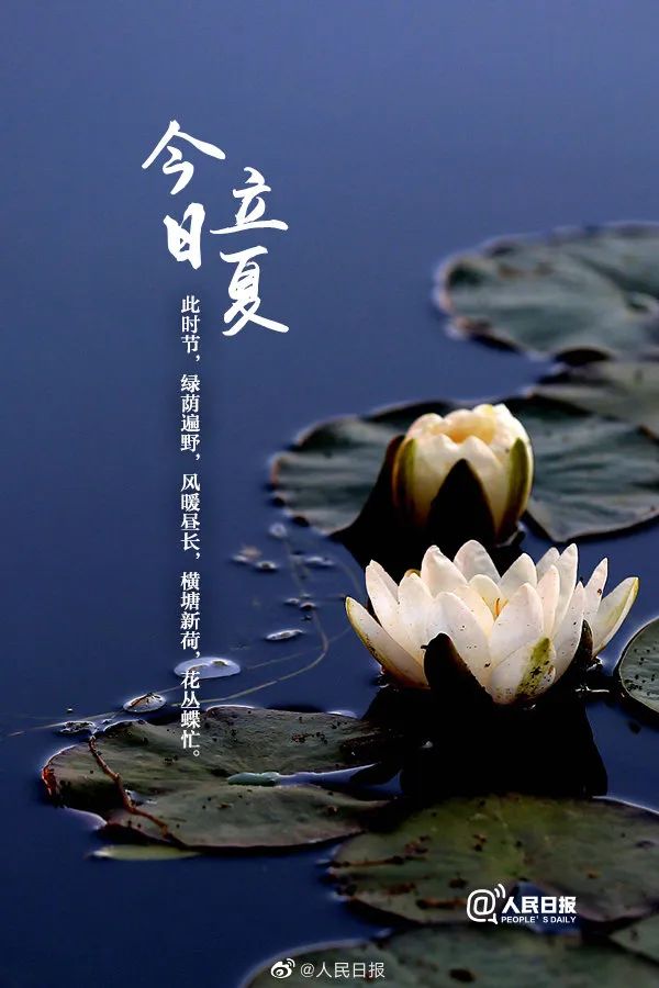 今日8时51分立夏