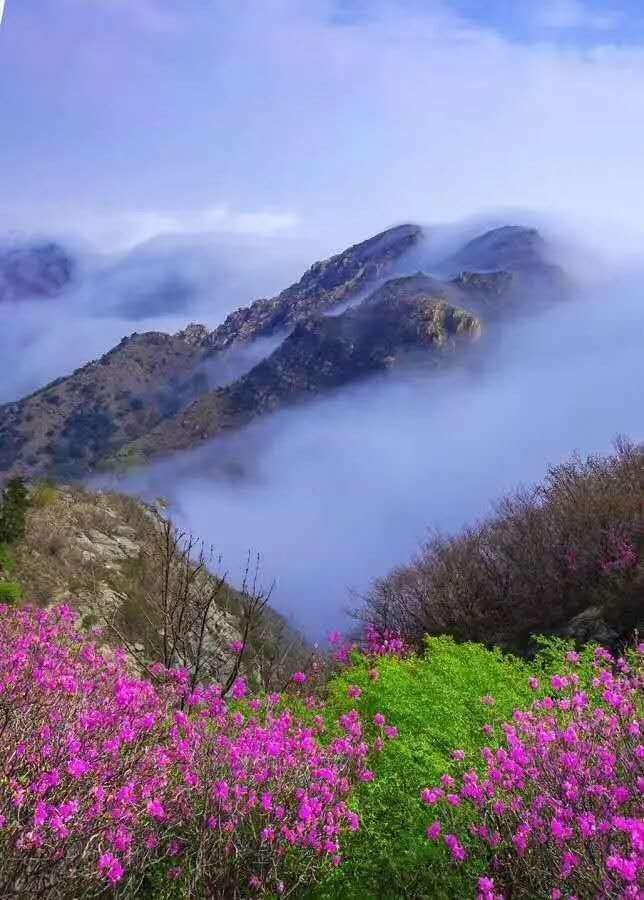 大黑山再现平流雾景观！ 这里有最“仙”的大连！