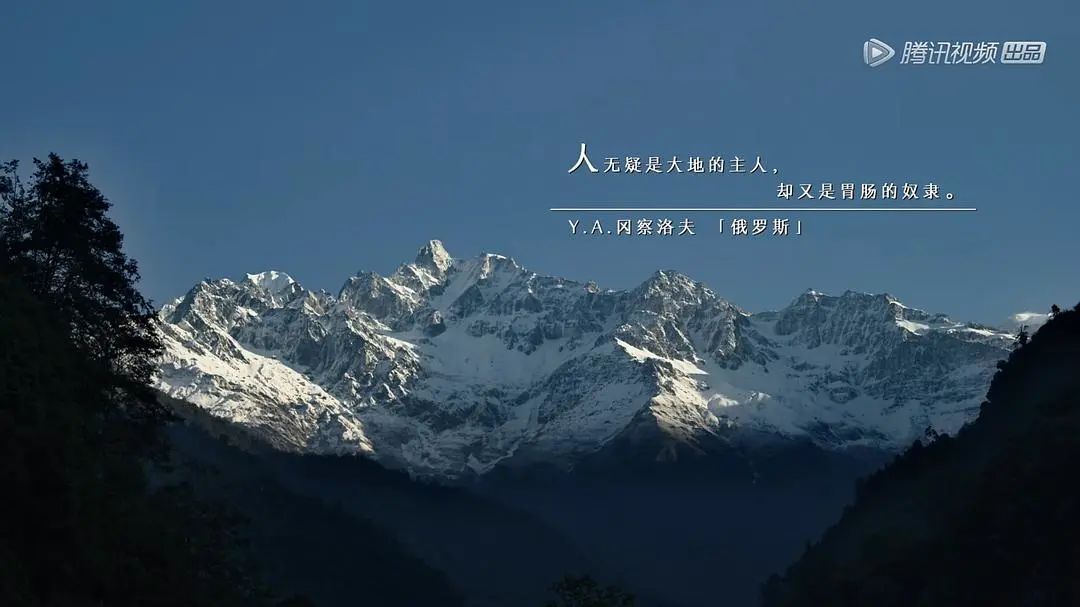 风味人间第二季真值94