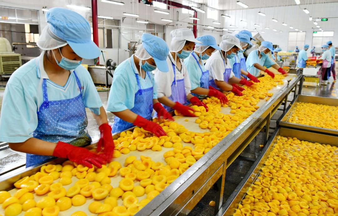 越是工业高速发达的国家,罐头食品的消费量越多