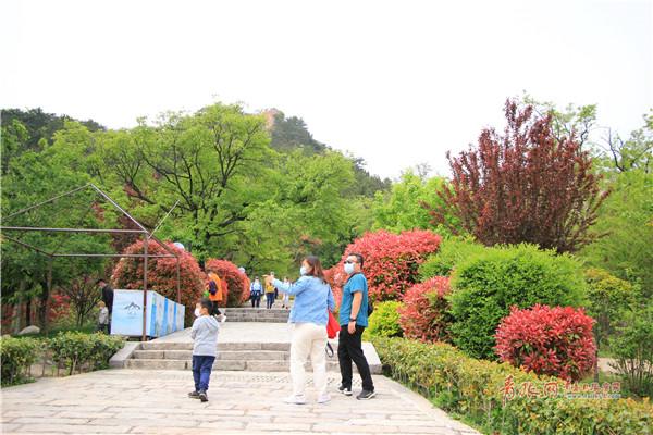 “五一”小长假:青岛旅游“热”得有序
