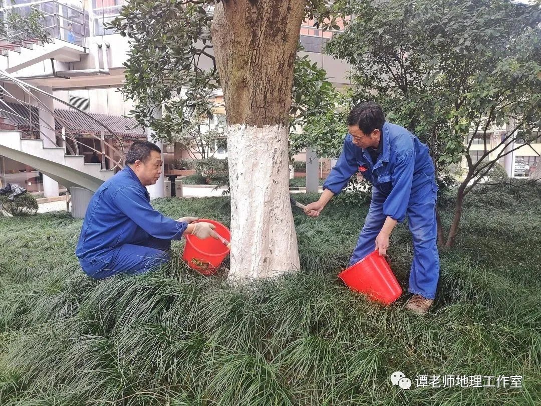 平沙seo优化多少钱