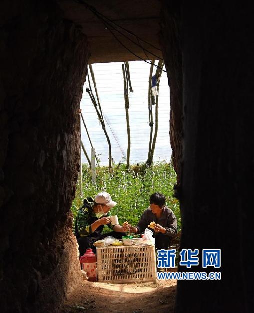 山东:90后大学生返乡创业当花农