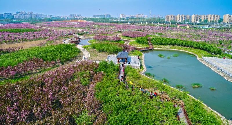 征集| "安徽固镇 垓下风情"全国摄影作品展