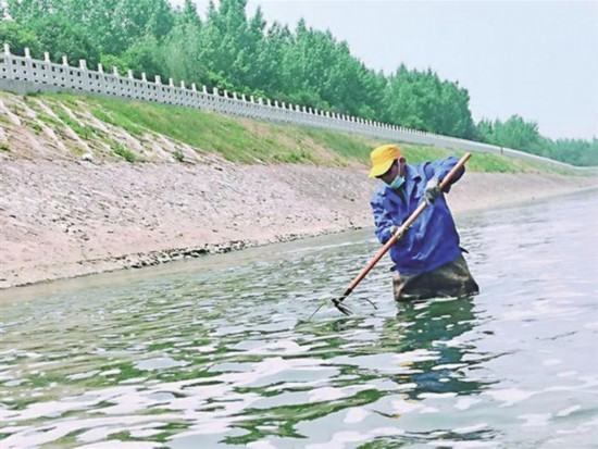 城市里的"河渠美容师"