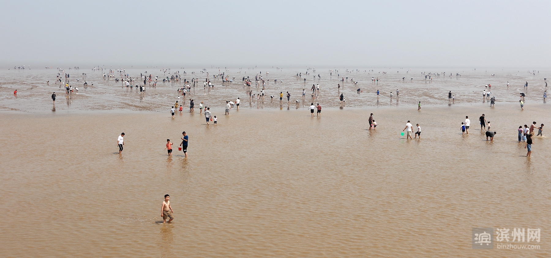 赶海拾贝挖文蛤,亲海玩海不如自己赶海,落潮时段,游客纷纷冲下古贝堤