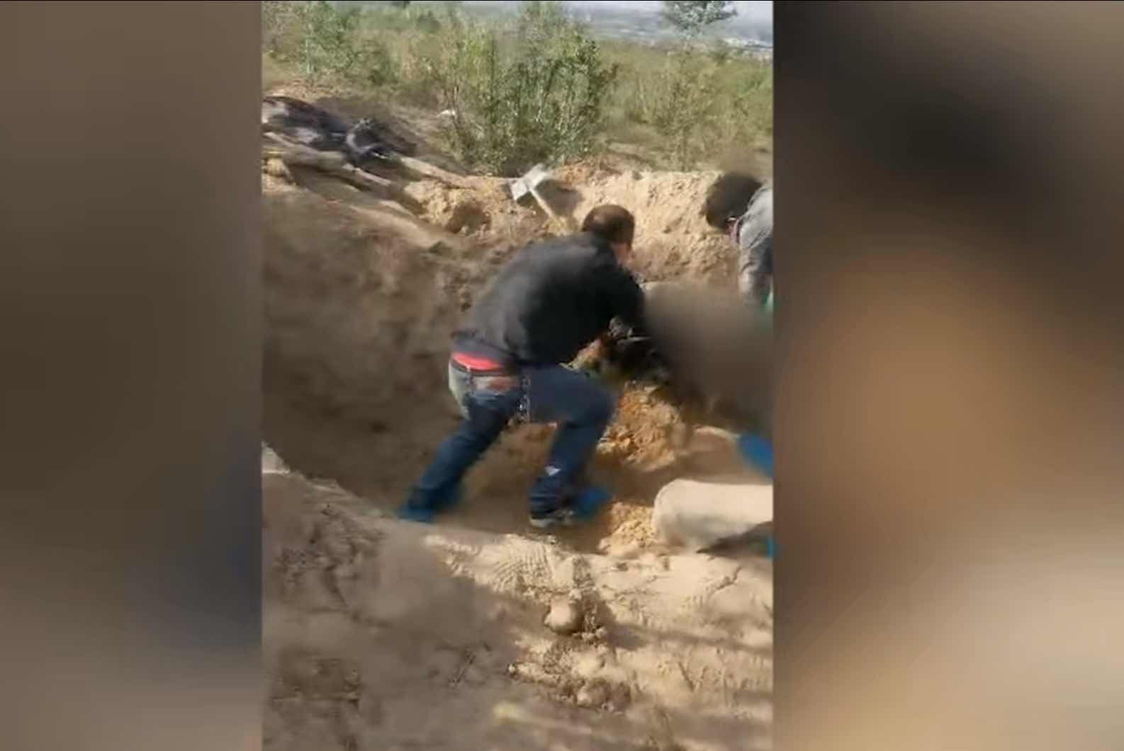 民警将老人从墓穴中抬出。 视频截图