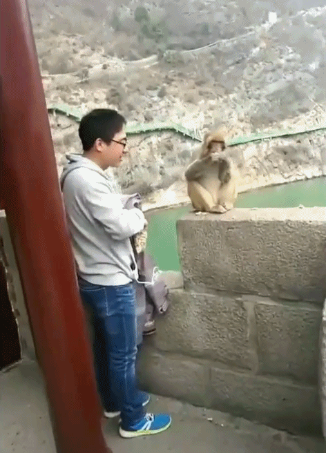 #每日有趣gif图#太丑了,莫挨老子!