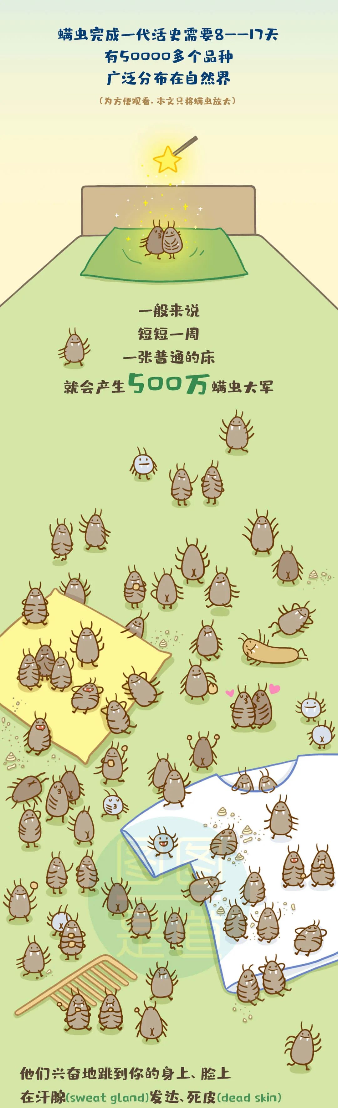 一天不晒被,百万螨虫陪你睡