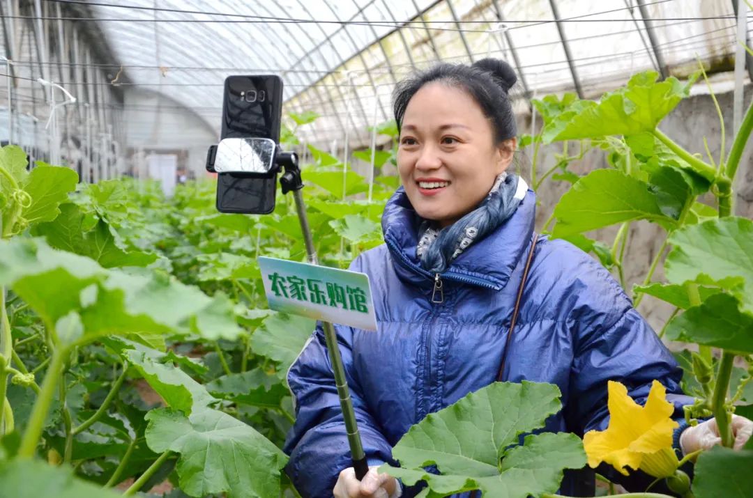 泰山脚下"带货"忙,电商助力泰安农业产业升级