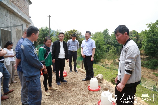 南网超高压天生桥局:持续发力打赢脱贫歼灭战