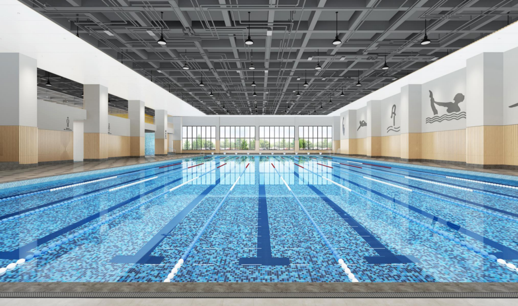 2020南海小学排名_南海外国语学校2020年初中一年级、小学一年级新生注