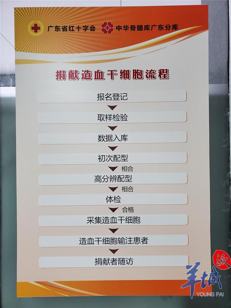广东造血干细胞捐献者:能挽救一条生命,是我的荣幸