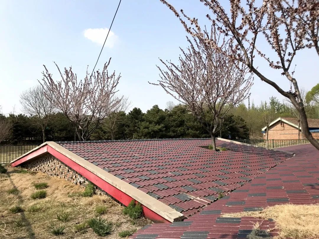 昔日"蚁族"聚集地旧貌换新颜——海淀区唐家岭村