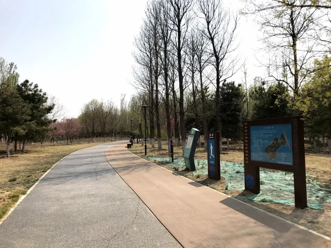 昔日"蚁族"聚集地旧貌换新颜——海淀区唐家岭村