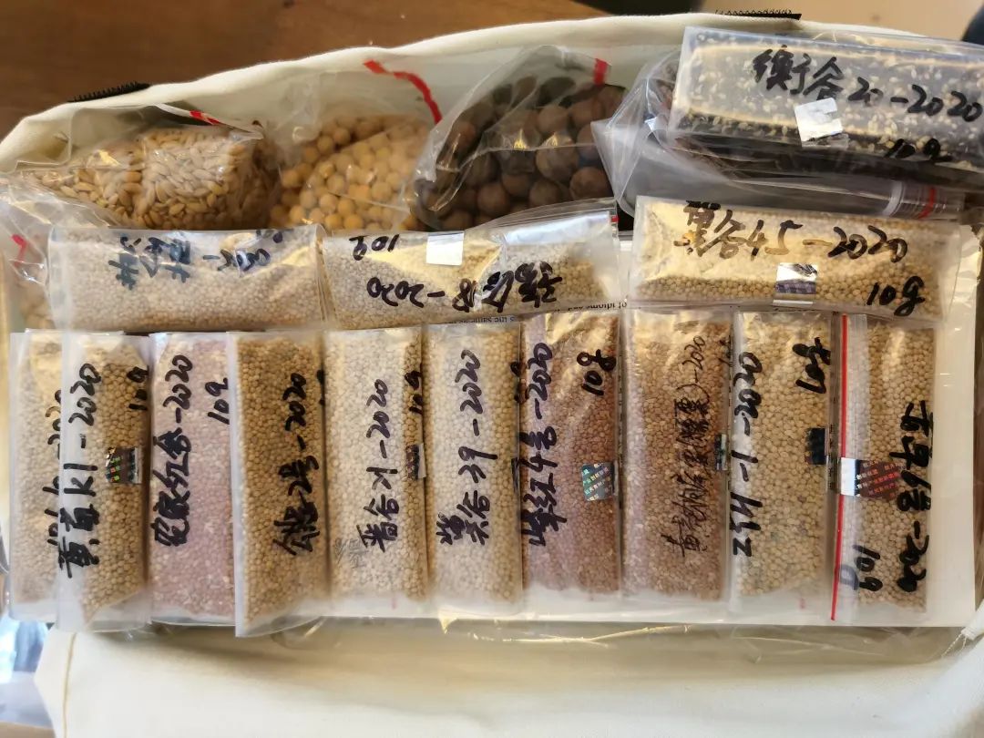 试验船中搭载的片面栽子