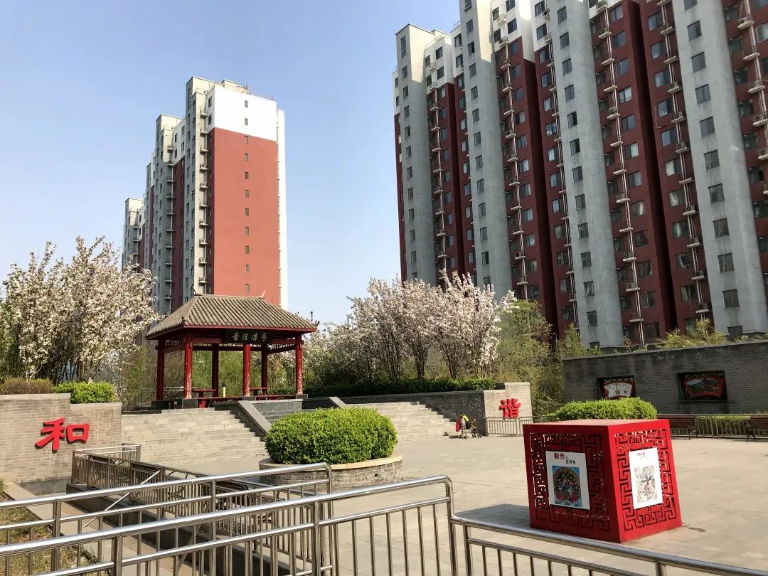 昔日"蚁族"聚集地旧貌换新颜——海淀区唐家岭村