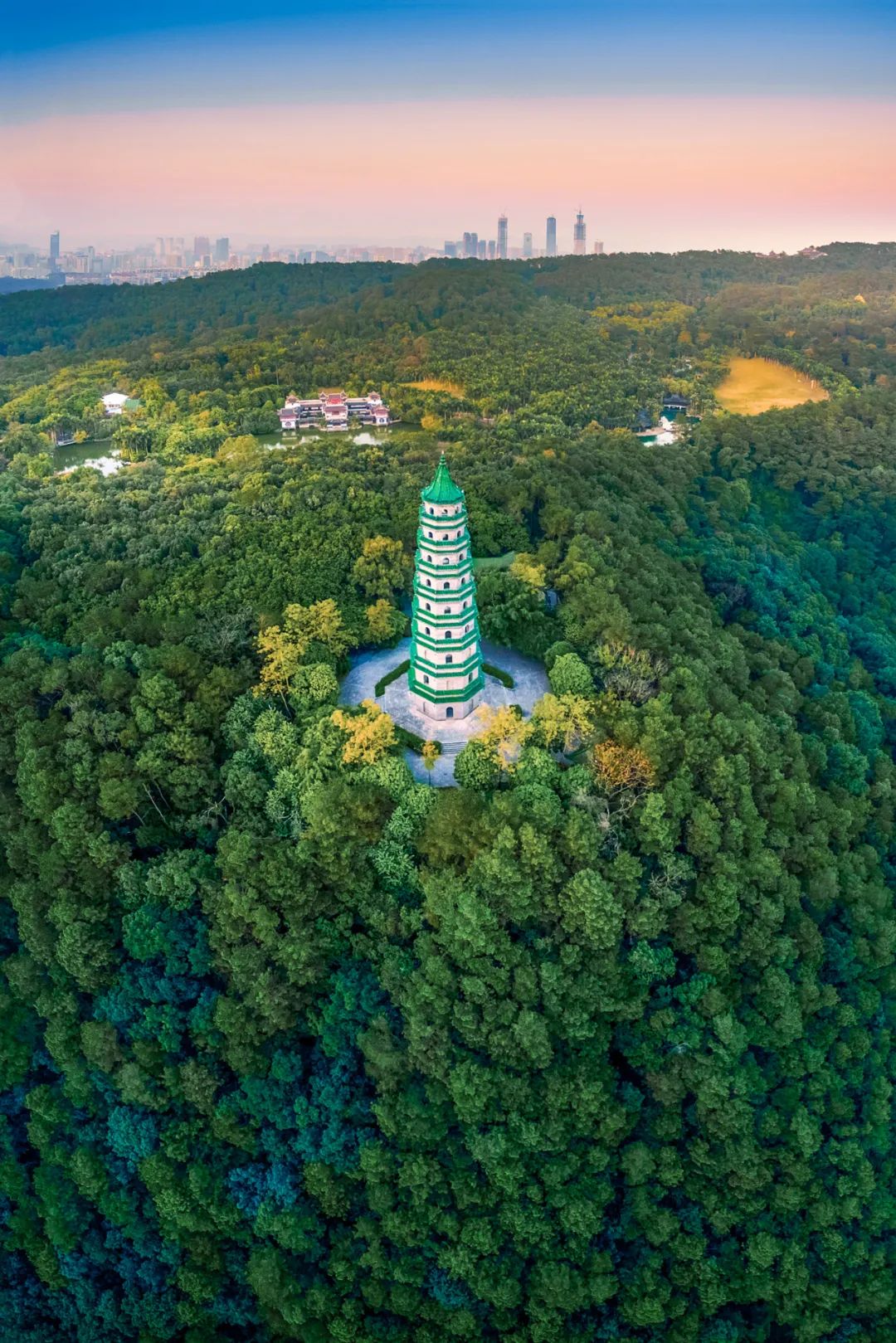 南宁南宁,默默无名?|青秀山|枢纽_新浪新闻