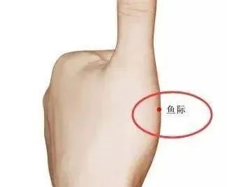 鱼际其实是一个节点.