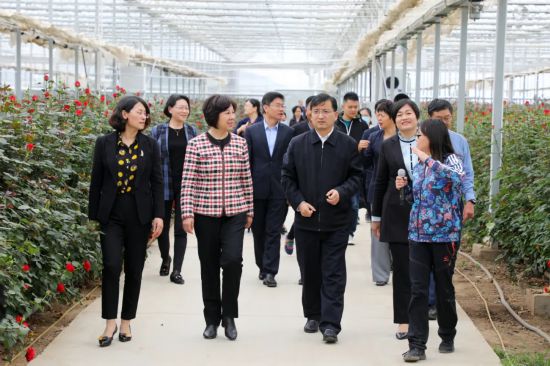 山东省妇联党组书记孙丰华到日照调研妇女工作