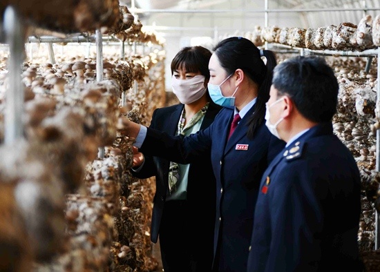 山东税务部门深入企业走访调研送政策促发展