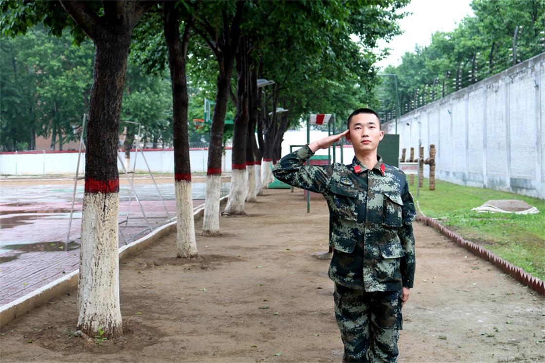 母亲来听兵儿子的真情表白