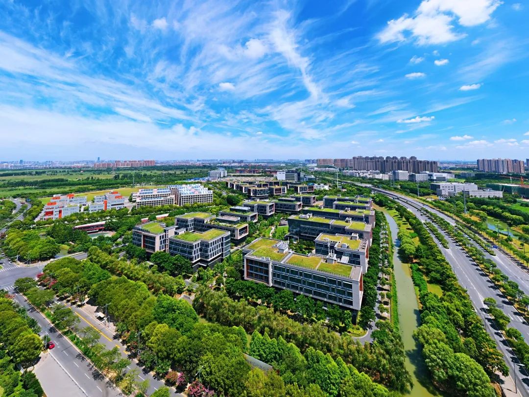 综合考核观察③|"统考"赛出怎样的县域"强中手"