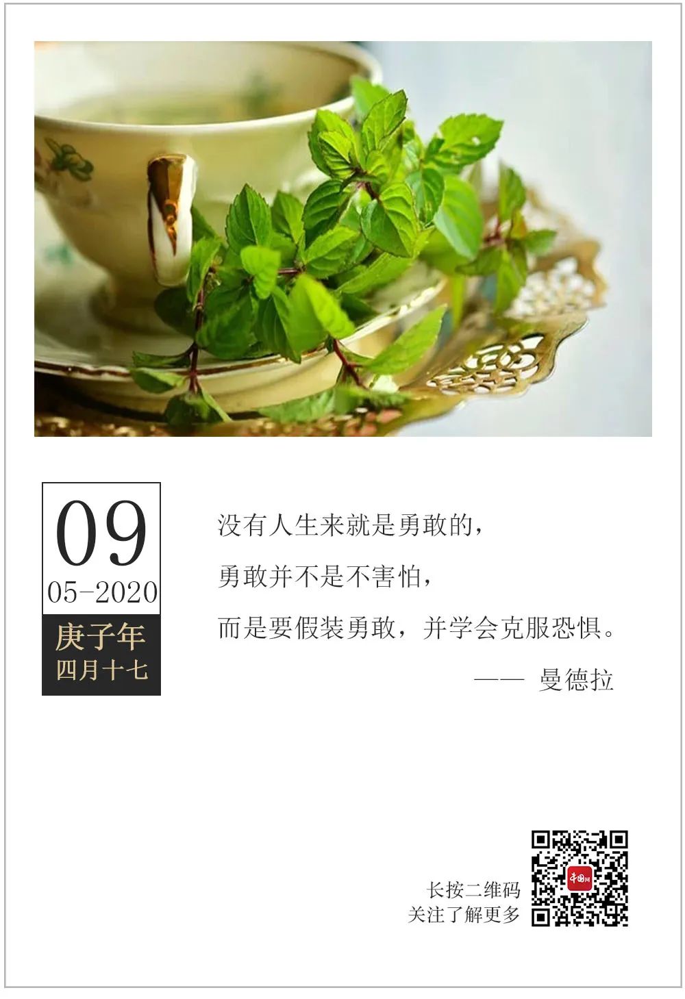 湛江早茶排行榜_『2020.05.09』轻松早茶