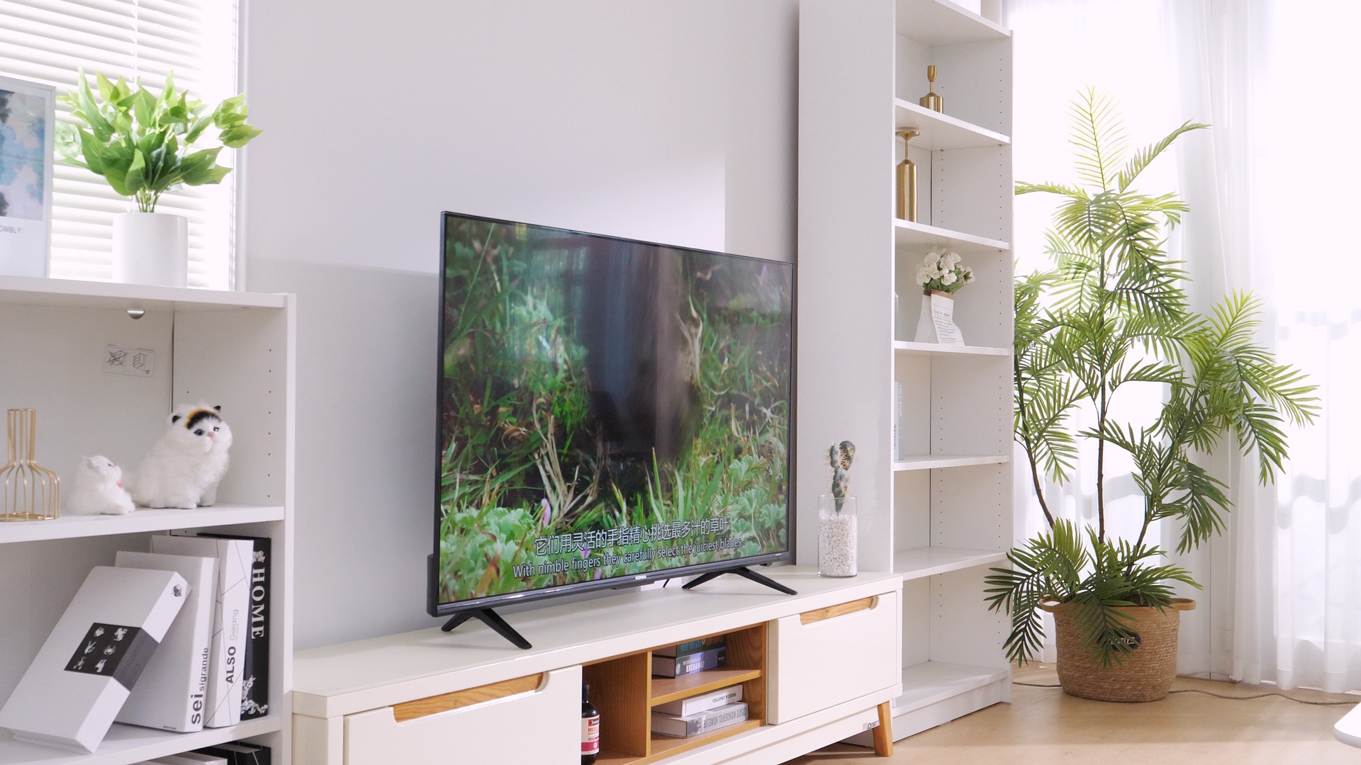 多方言识别,让其成为真正的贴心语音助手,康佳55g5u智慧电视支持多种