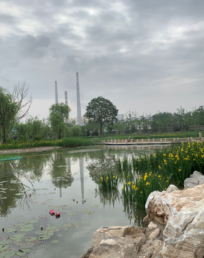 打造城区到副中心绿色廊道广渠路沿线将现千亩湿地公园