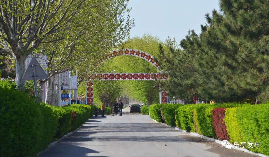 【美丽乡村展播】诗情画意香袭人——乐亭镇美丽乡村示范村别样的魅力