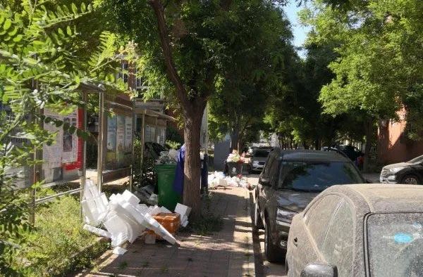 苍蝇嗡嗡的，味道熏熏的，如此“垃圾分类”受得了吗？