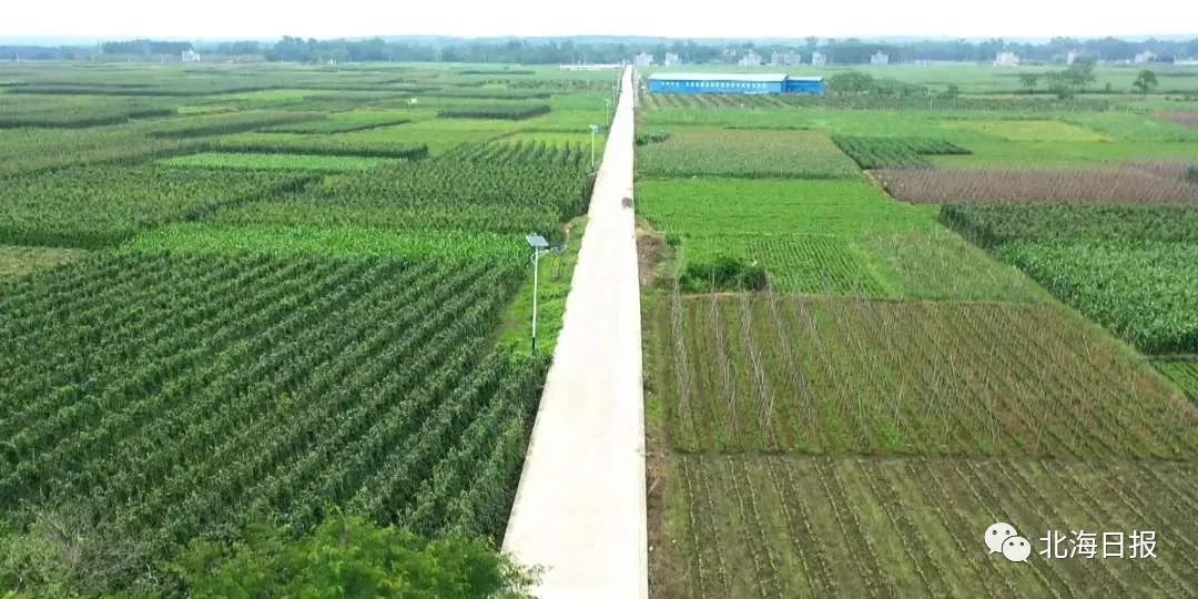 这是豹狸村!扶贫车间创新"管理费模式"带动村民脱贫 | 千名记者一线行