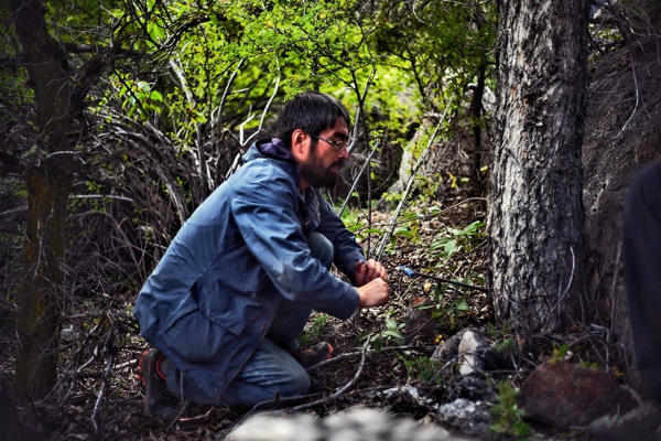“树语者”朱海峰：冰川密语，藏在树木年轮里