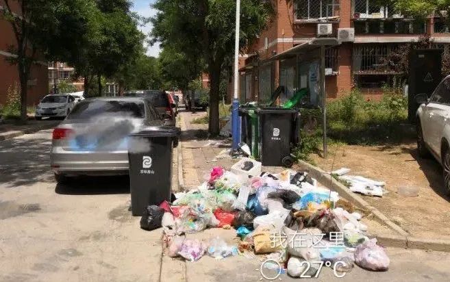 苍蝇嗡嗡的，味道熏熏的，如此“垃圾分类”受得了吗？