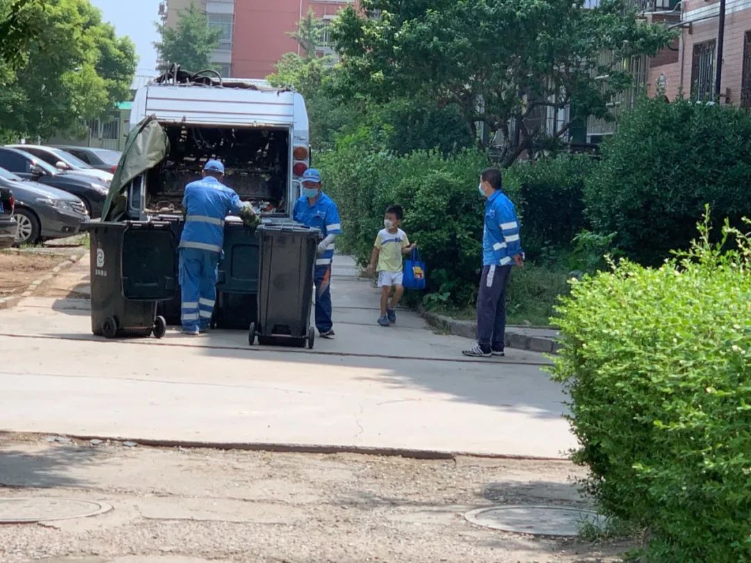 苍蝇嗡嗡的，味道熏熏的，如此“垃圾分类”受得了吗？