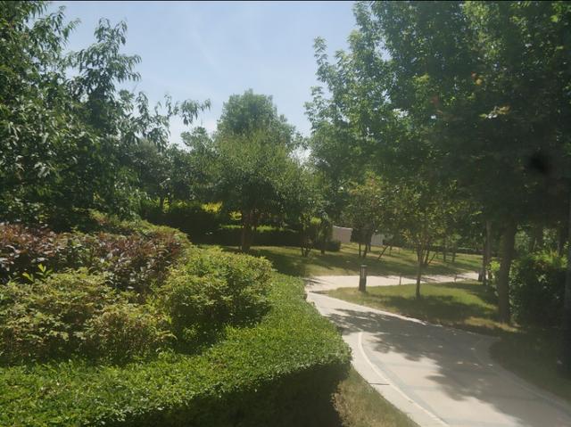 乌鲁木齐绿化最好的小区在这里小区环境绿化比公园游园还好