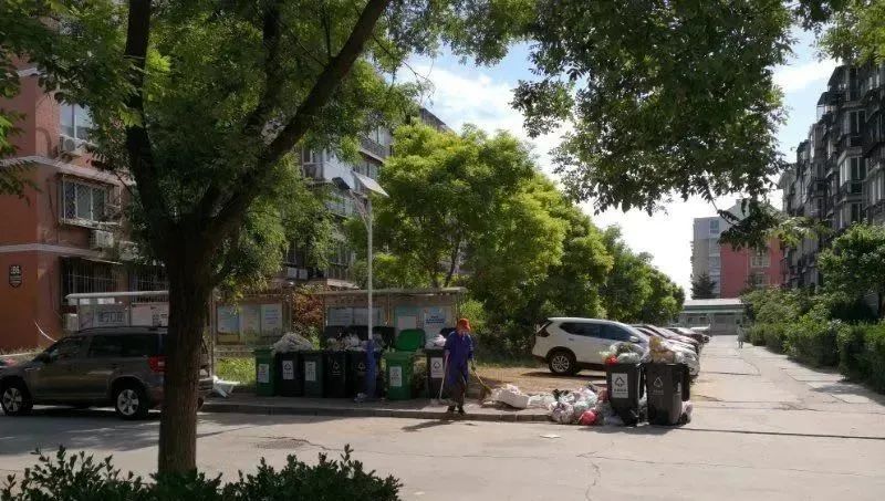 苍蝇嗡嗡的，味道熏熏的，如此“垃圾分类”受得了吗？