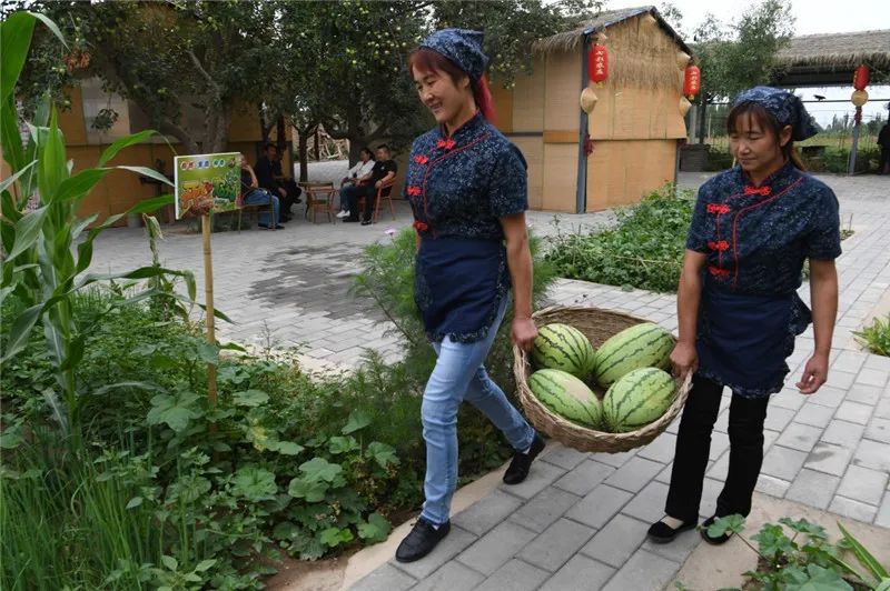 受疫情影响仍滞留乡村,返乡农民工如何趟出就业路?