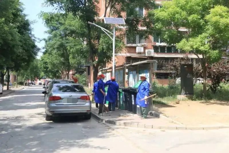 苍蝇嗡嗡的，味道熏熏的，如此“垃圾分类”受得了吗？