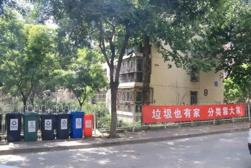 苍蝇嗡嗡的，味道熏熏的，如此“垃圾分类”受得了吗？