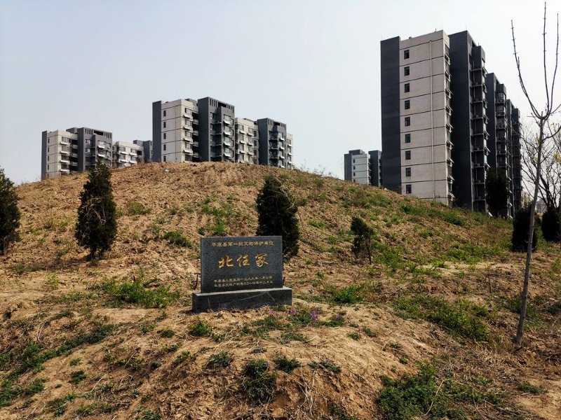 一桩平原"任侍郎"墓被盗掘公案的勘误|任氏|世祖|平原_新浪新闻