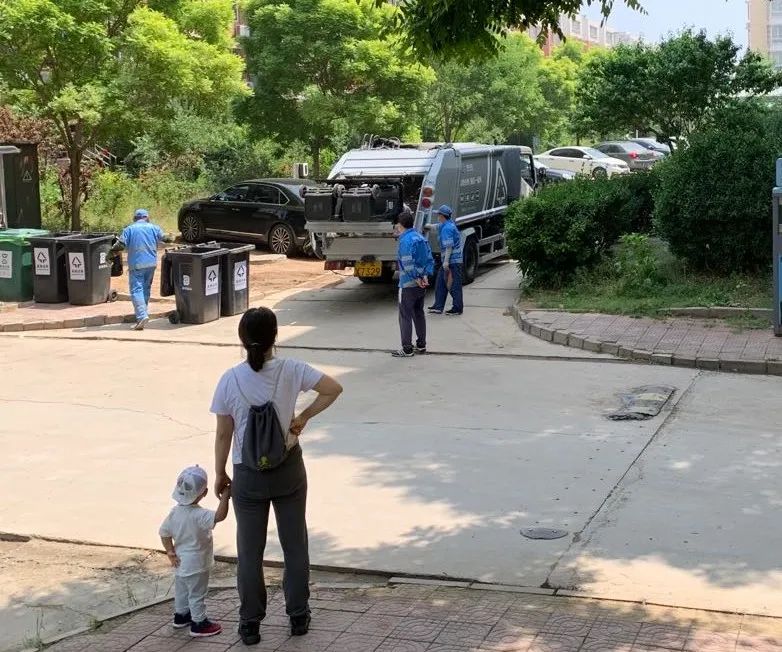 苍蝇嗡嗡的，味道熏熏的，如此“垃圾分类”受得了吗？