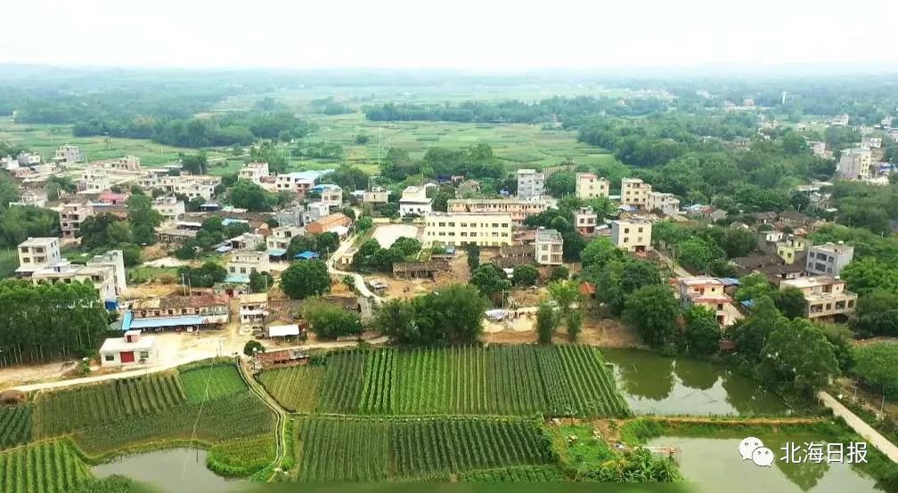 这是豹狸村!扶贫车间创新"管理费模式"带动村民脱贫 | 千名记者一线行