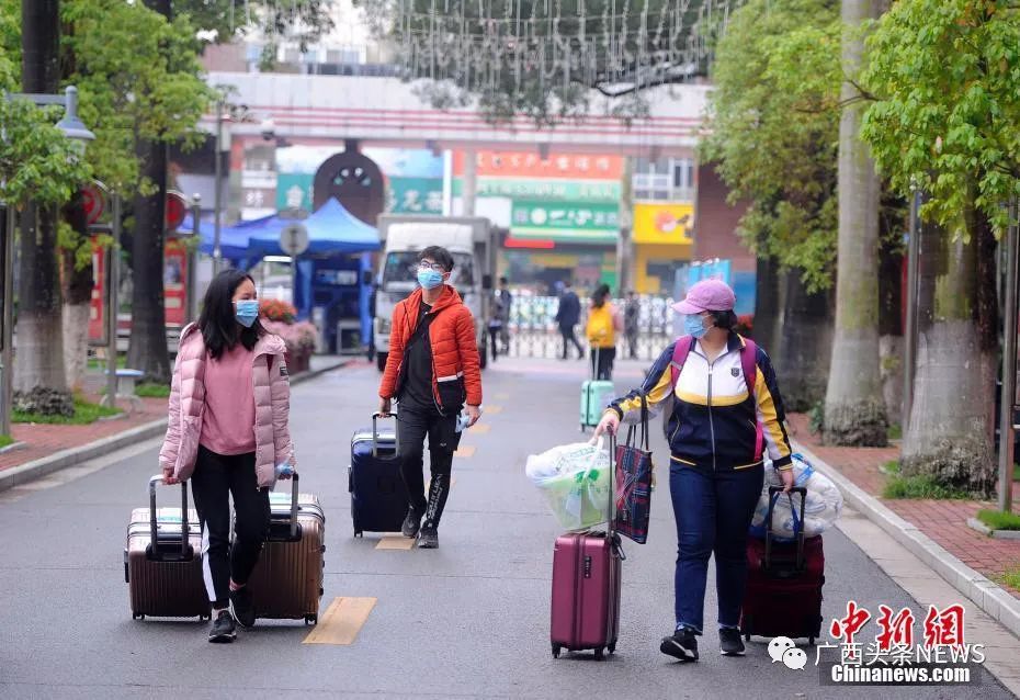 南宁市青秀区 兴宁区 良庆中小学地段划分方案出炉 住宅区 星湖 新浪新闻 南宁市青秀区 兴宁区 良庆中小学地段划分方案出炉 住宅区 星湖 新浪新闻