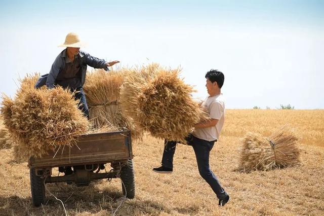 就是那时,我品到了课本里白居易的那首《观刈麦》的真味道.