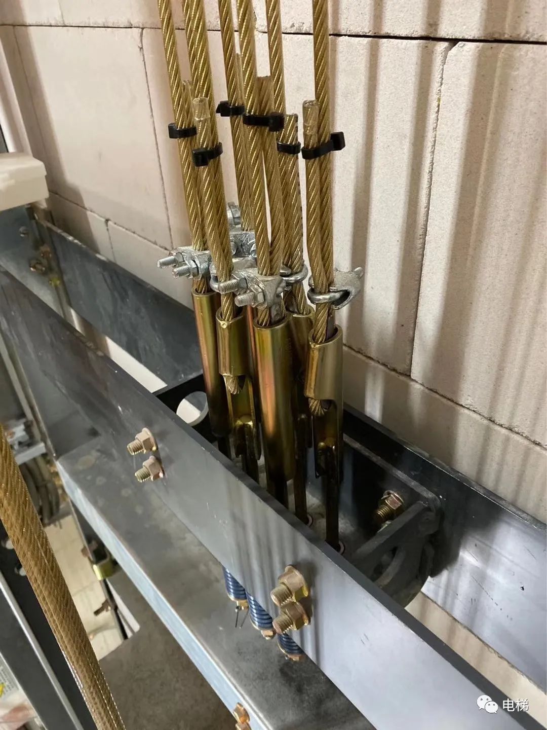 罕见:包塑钢丝绳电梯|钢丝绳|钢带|电梯_新浪新闻